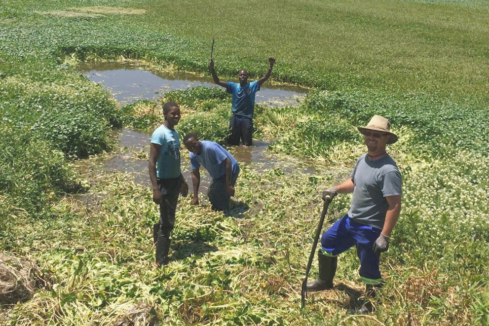 orphans in zimbabwe skills training