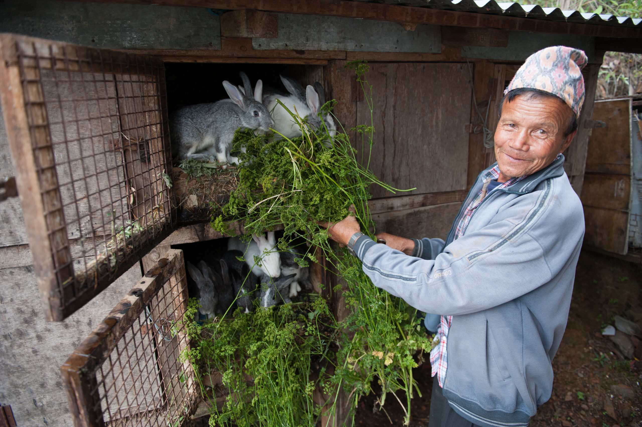 Man feeding rabbits and smiling.