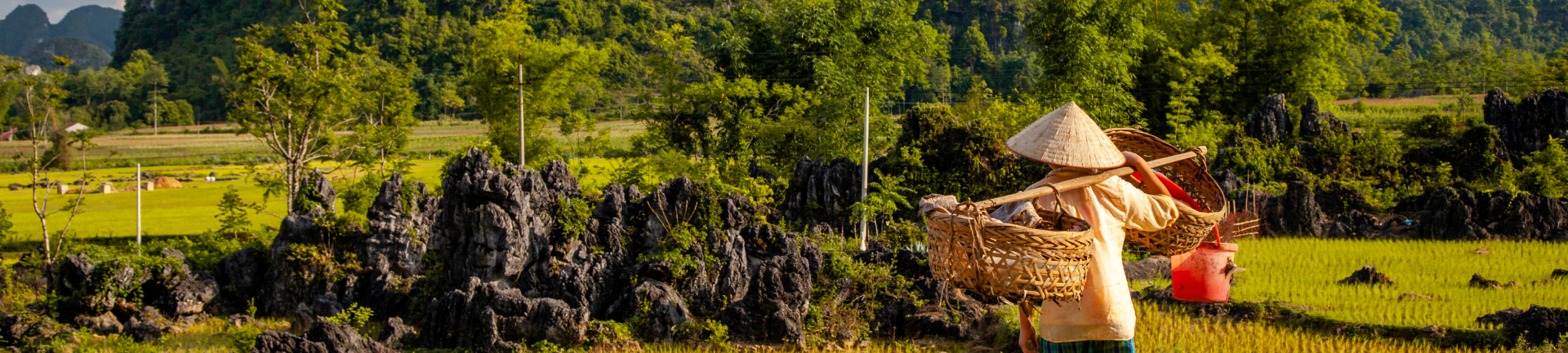 An Asian woman carrying baskets in a field.