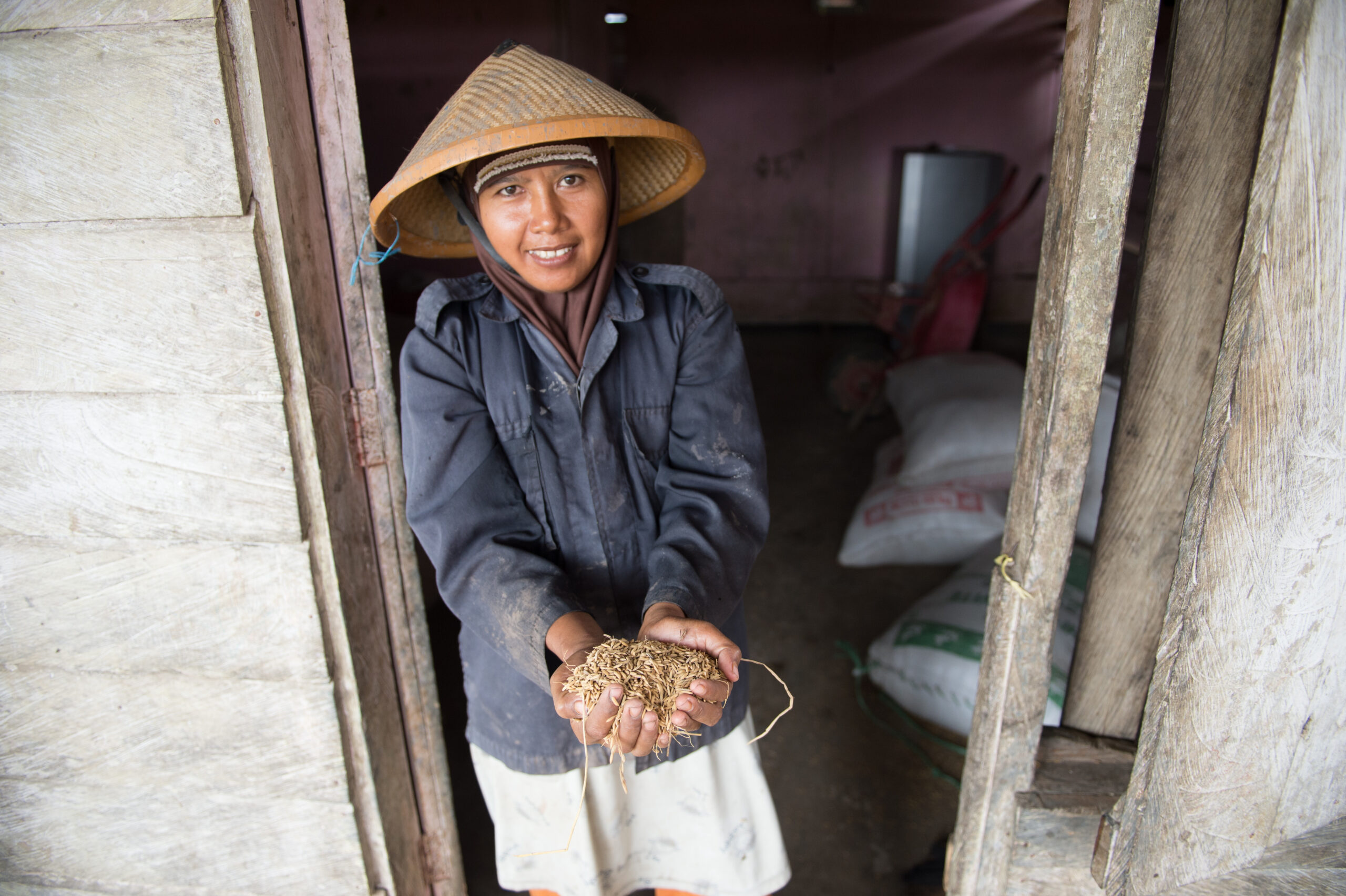 Papuan lady holds out a handful of grains that have been harvested.