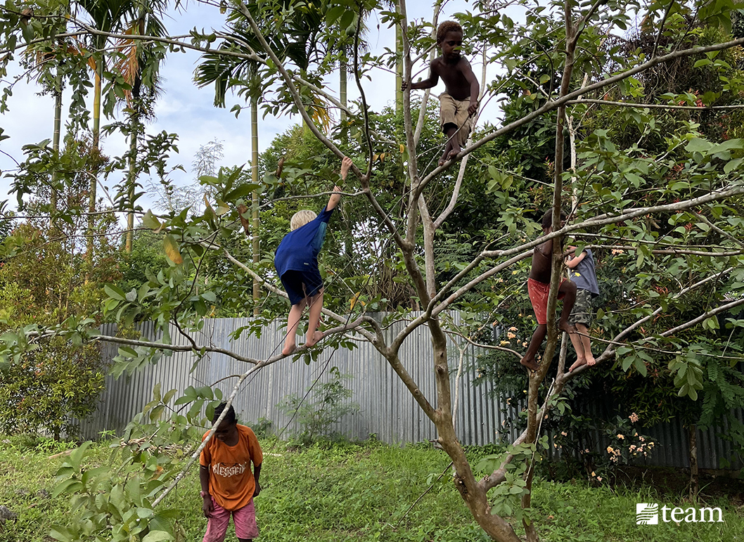 Kids climbing a tree.